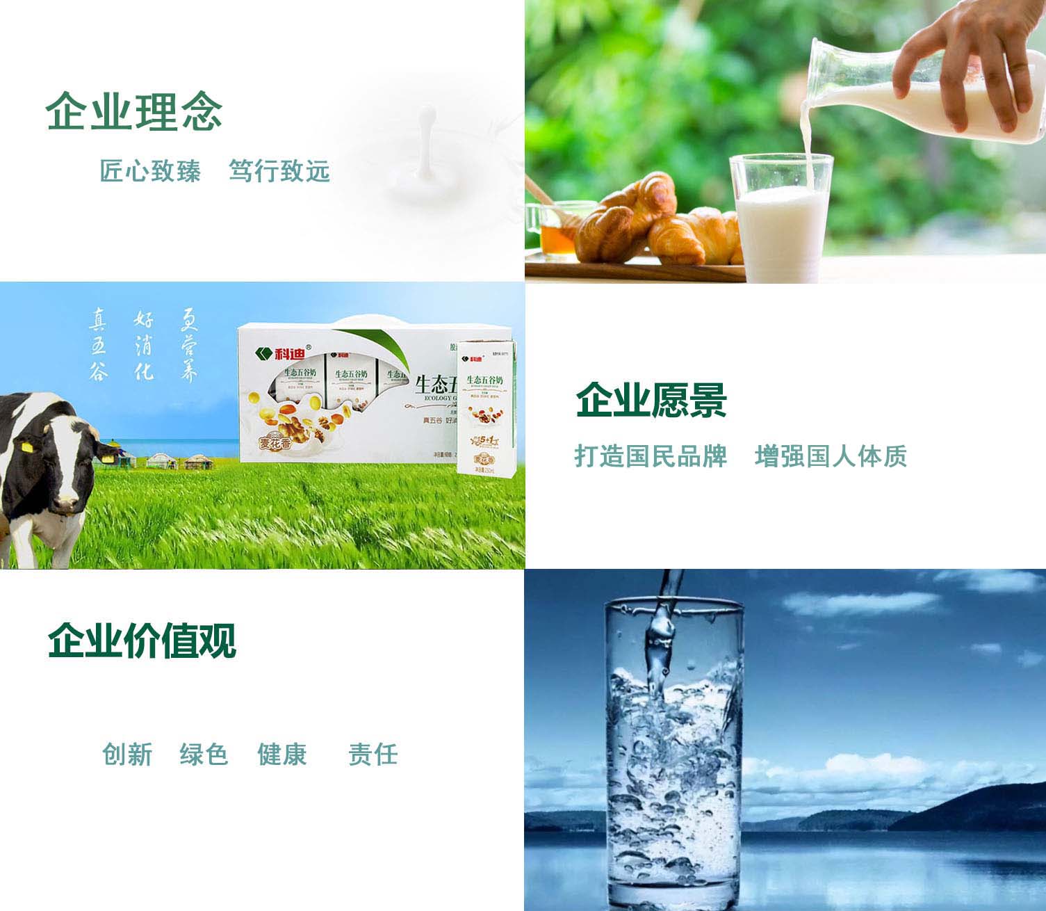 企业文化|龙8国际
